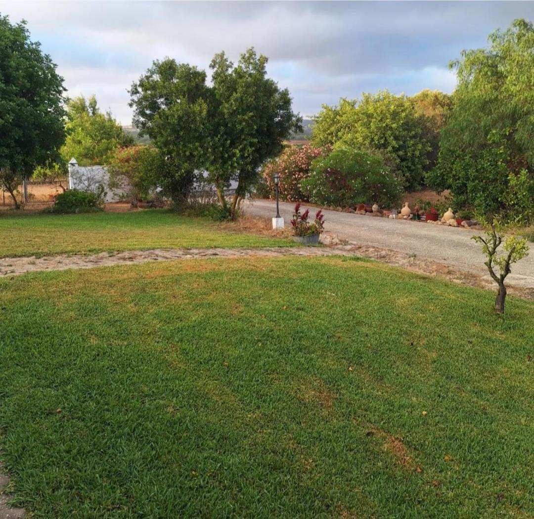 casa rural el niño Santamaría , con piscina y wifi Vejer de la Frontera Exterior foto